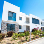 dejablue ecowellness1