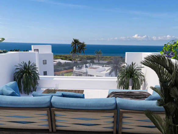 dejablue ecowellness6