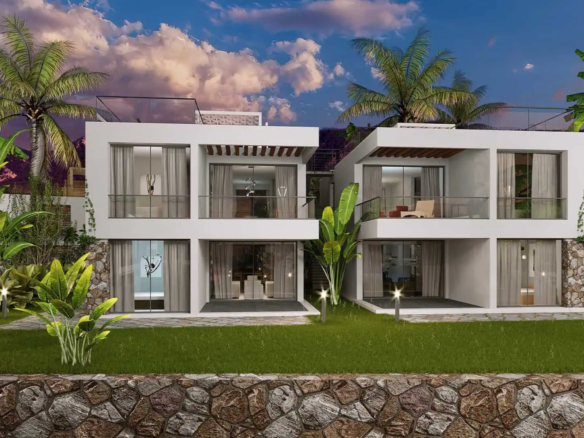 oasis project (1)