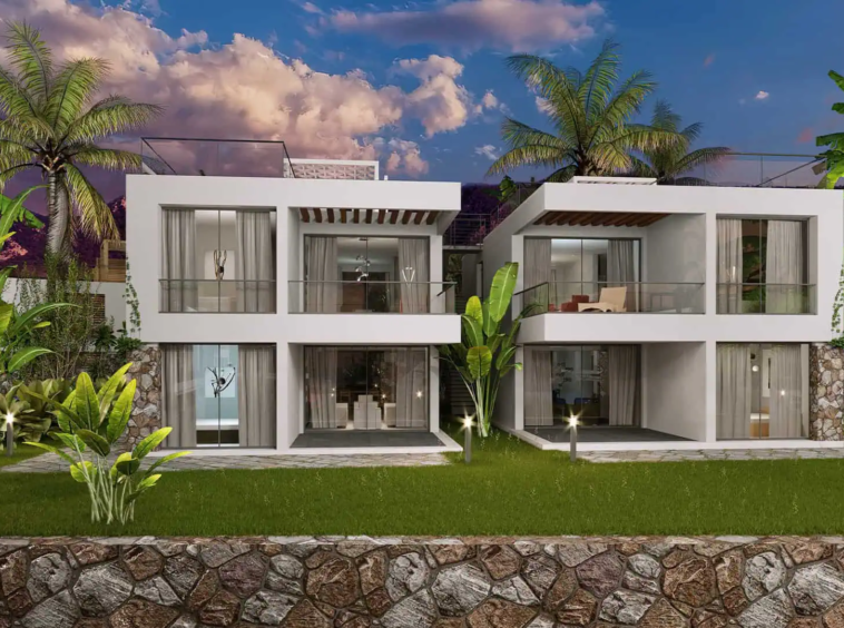 oasis project (1)