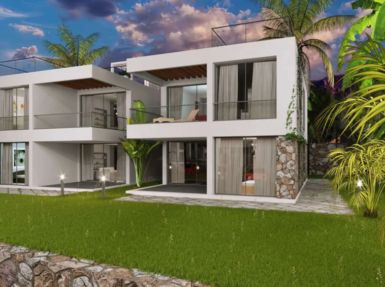 oasis project (2)
