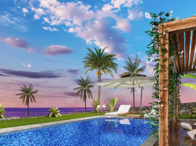 oasis project (3)