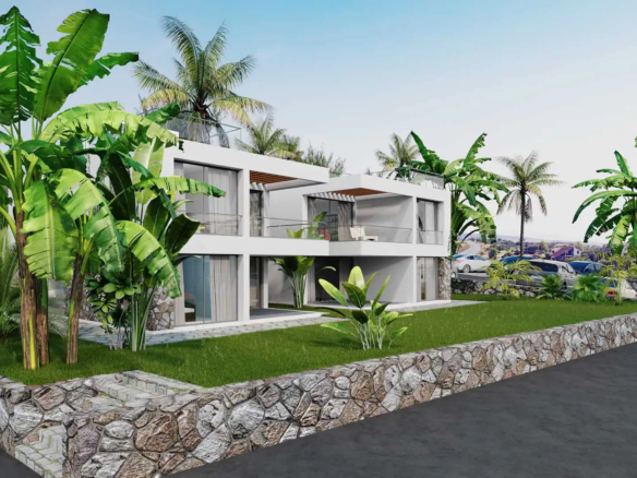 oasis project (9)